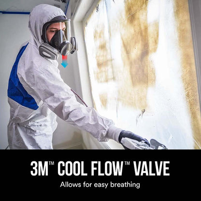 3M Full Face Spray Paint Respirator Large - 1 Kit