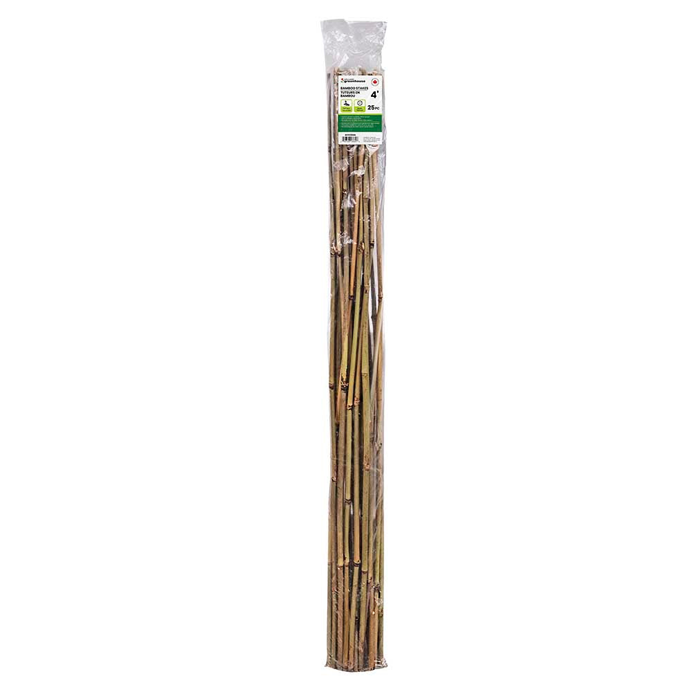 Holland Greenhouse 4in Bamboo Stakes - 25pk
