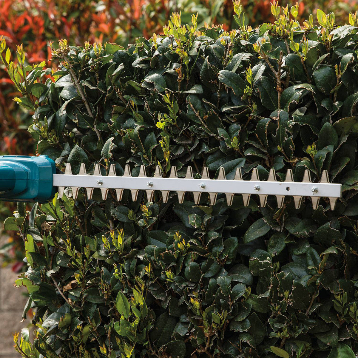 Makita DUN461WZ 18V LXT 18-1/8 inch Brushless Telescopic Pole Hedge Trimmer (Tool Only)
