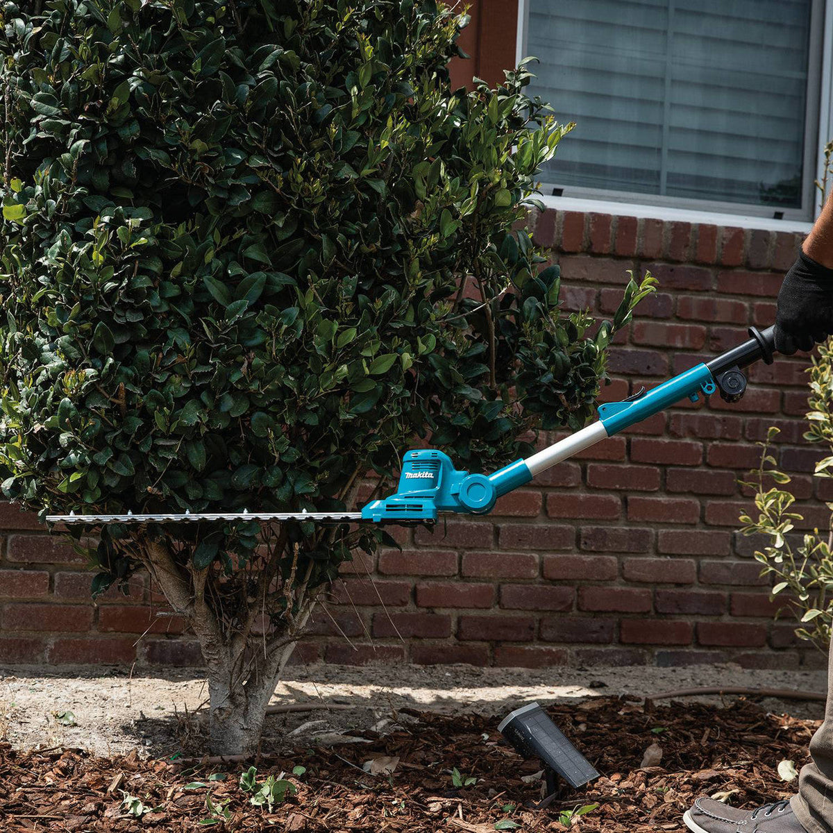 Makita DUN461WZ 18V LXT 18-1/8 inch Brushless Telescopic Pole Hedge Trimmer (Tool Only)