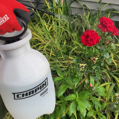 Chapin 1 Gallon Lawn & Garden Hand Pump Sprayer