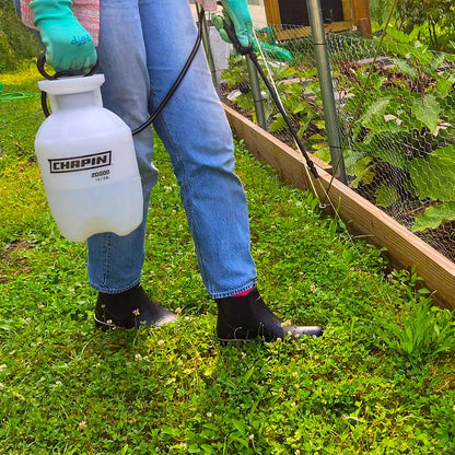 Chapin 2 Gallon Lawn & Garden Hand Pump Sprayer