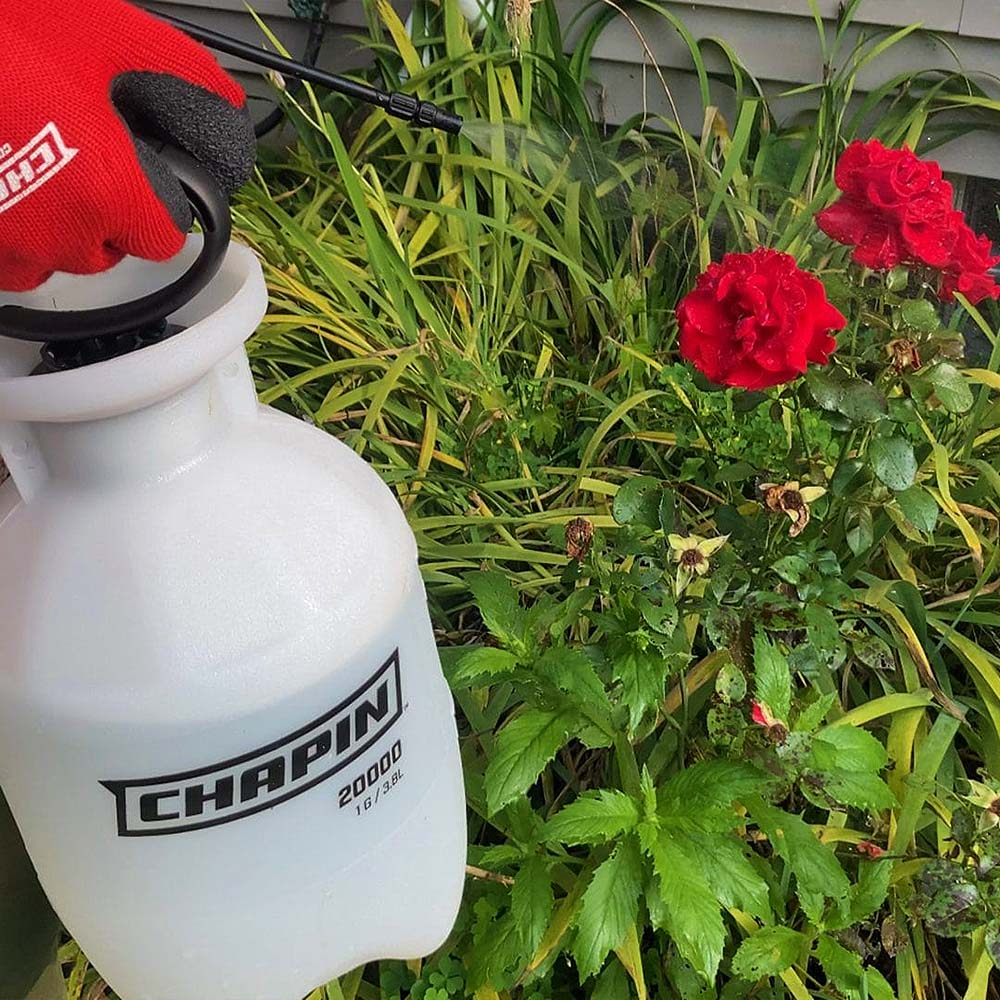 Chapin 2 Gallon Lawn & Garden Hand Pump Sprayer
