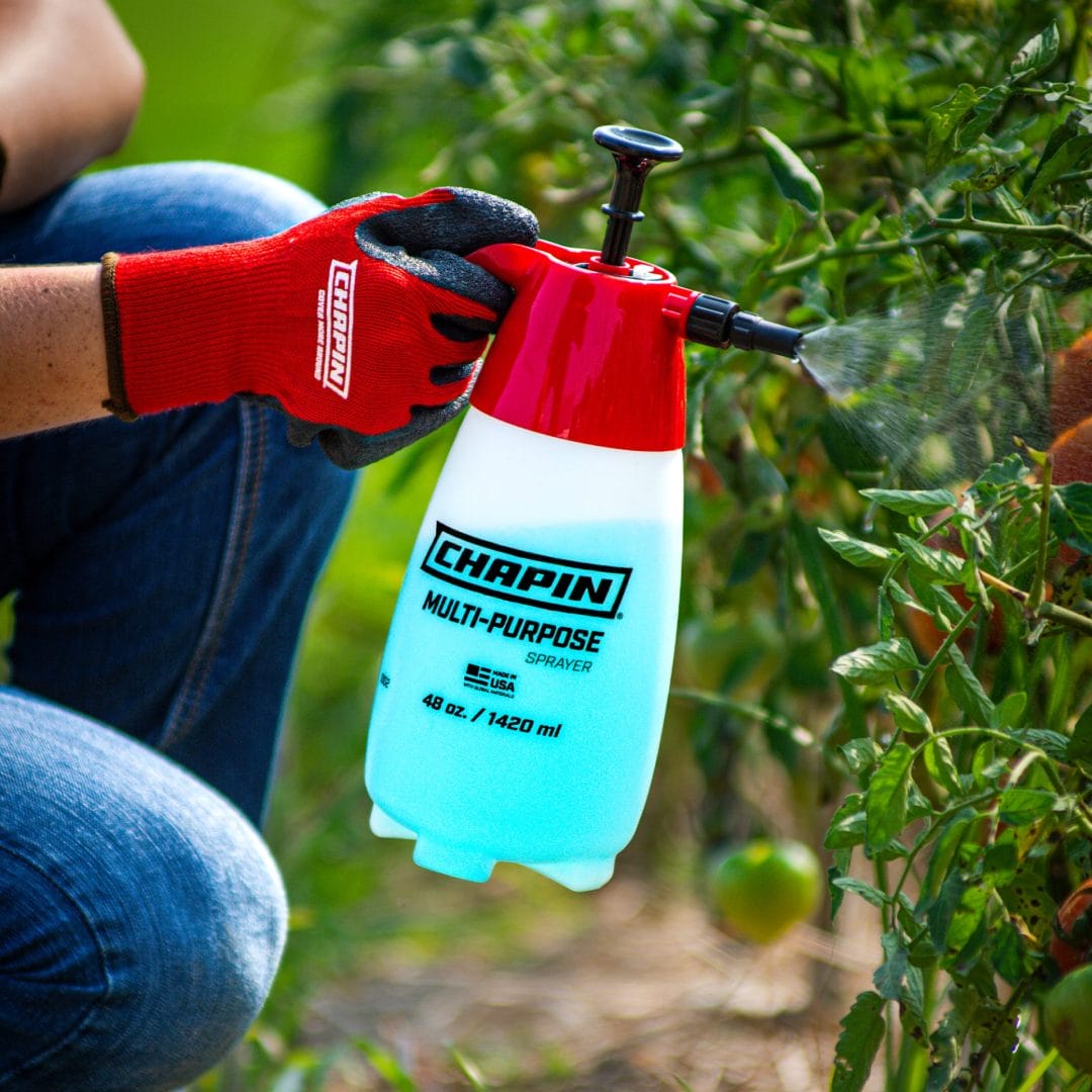 Chapin 48 Ounce Handheld Pump Sprayer